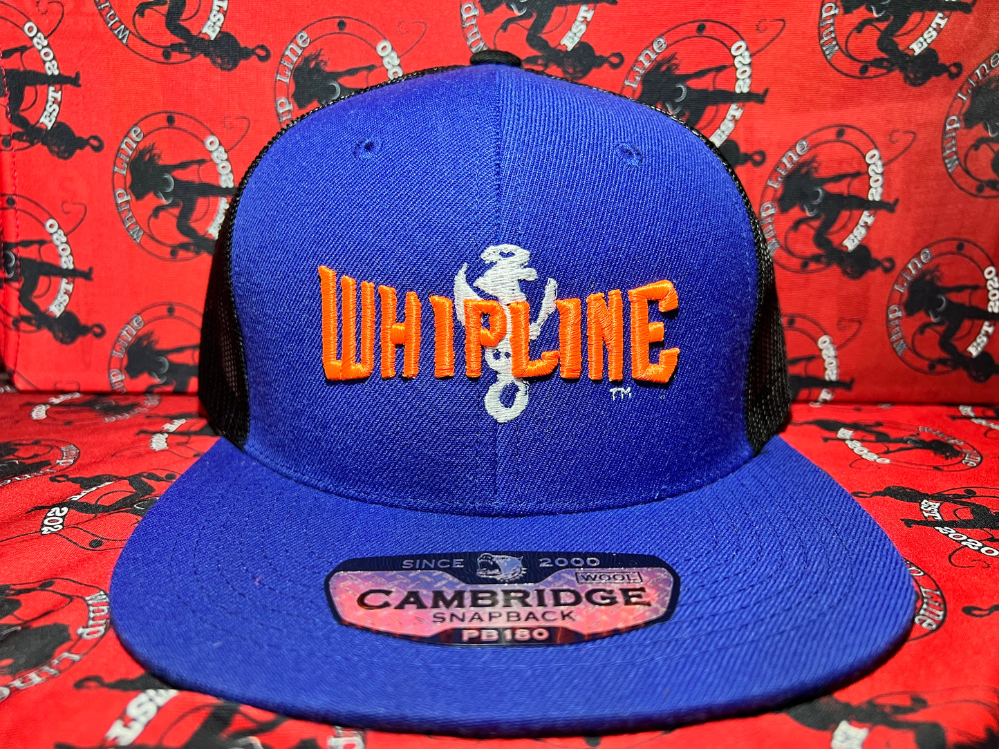 Whipline Cambridge 3D Puff Embroidered hats